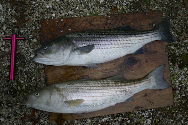 2Keepers_Oct14