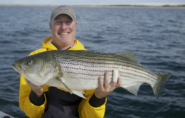 Nice_fish_oct14