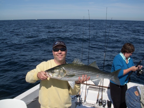 johnfish John's Fish