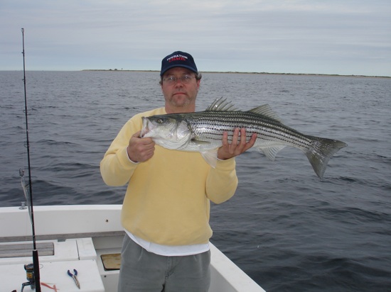 jun8jf Nice Fish