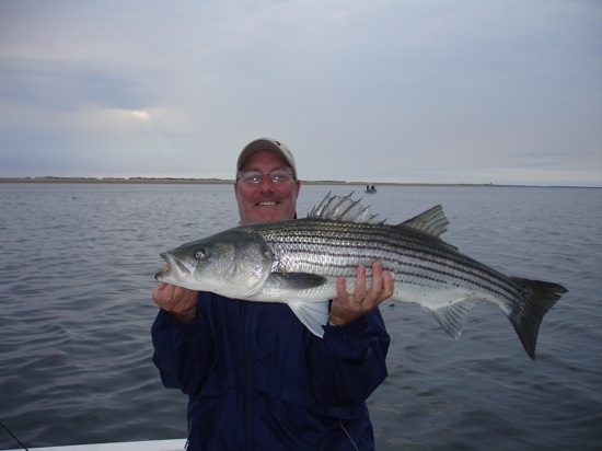jun8sf Another great fish!
