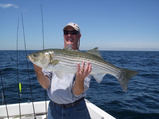 stevefish Stephen's Biggest Fish of the Day
