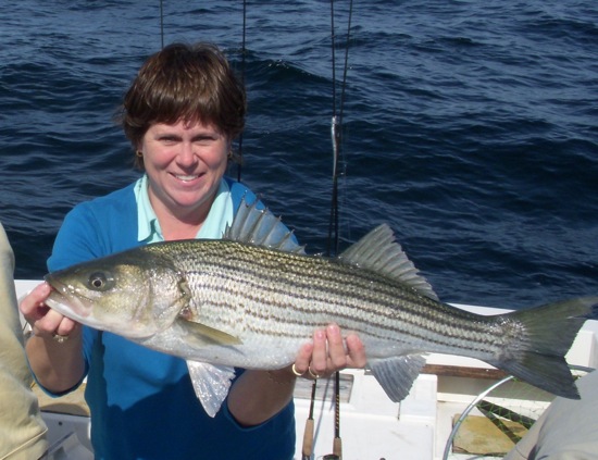 wendyfish Wendy's Awesome big bass.